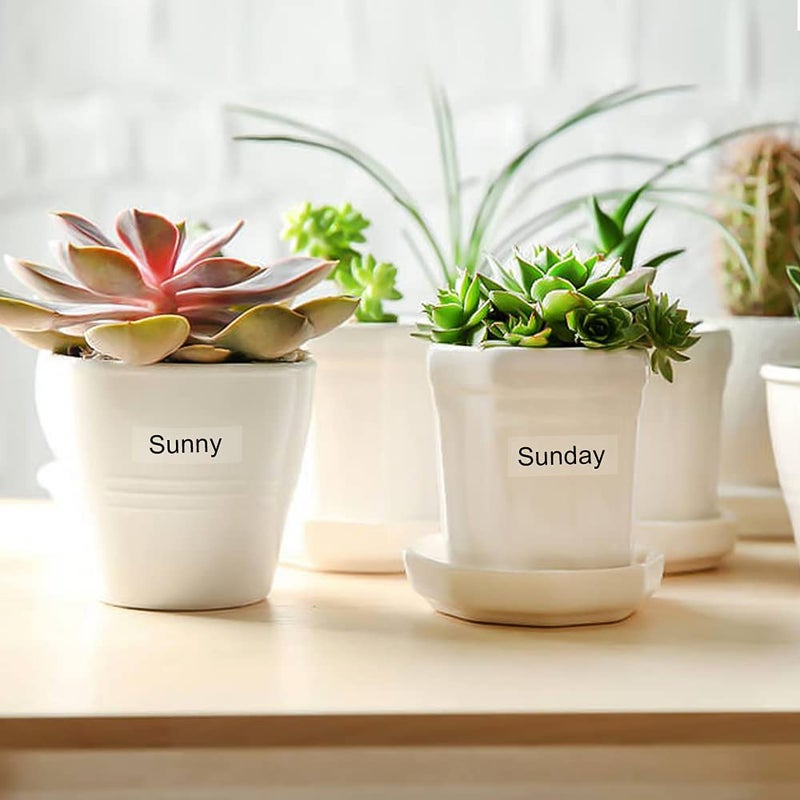 Absonic 2-Pack Compatible Label Tape Replacement for LK-4TBN ST12KW LC-4TBN9 LabelWorks 12mm Black on Clear LK Tape for LW-300 LW-400 LW-500 LW-600P LW-700 LW-K200PX Label Maker, 1/2'' x 26.2' - Image 4